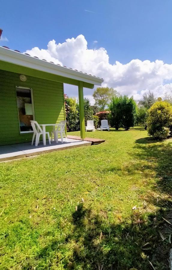 Gite Avec Piscine Et Espace Bien-Etre Partages Entre Bordeaux Et Lacanau Ocean (Adults Only) Brach Exterior foto